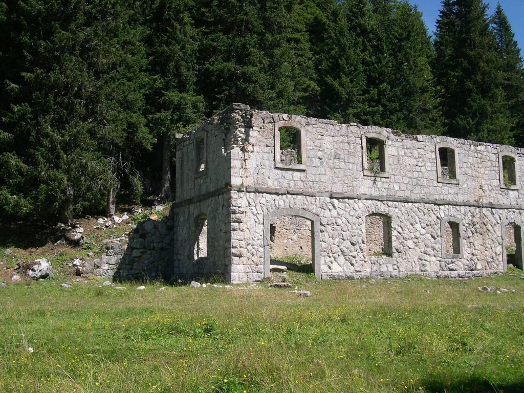 Fabbricato Indipendente Centro Leilighet Lozzo Cadore Eksteriør bilde